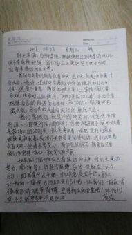 娱乐圈吃瓜作文800字,揭秘明星背后的故事