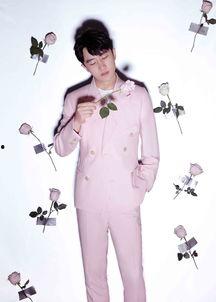 情人节服装爆料视频大全,揭秘热门服装爆料视频大全